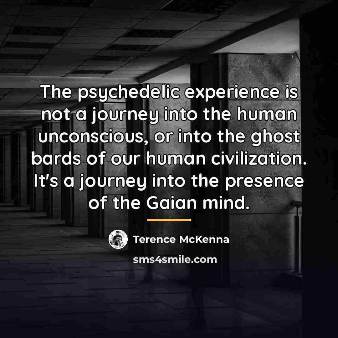 “The psychedelic experience is not a journey into the human…” quote by Terence McKenna