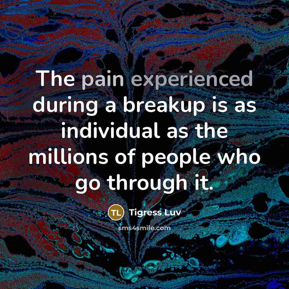 “The pain experienced during a breakup is as individual as the millions of people who go through it.” quote by Tigress Luv