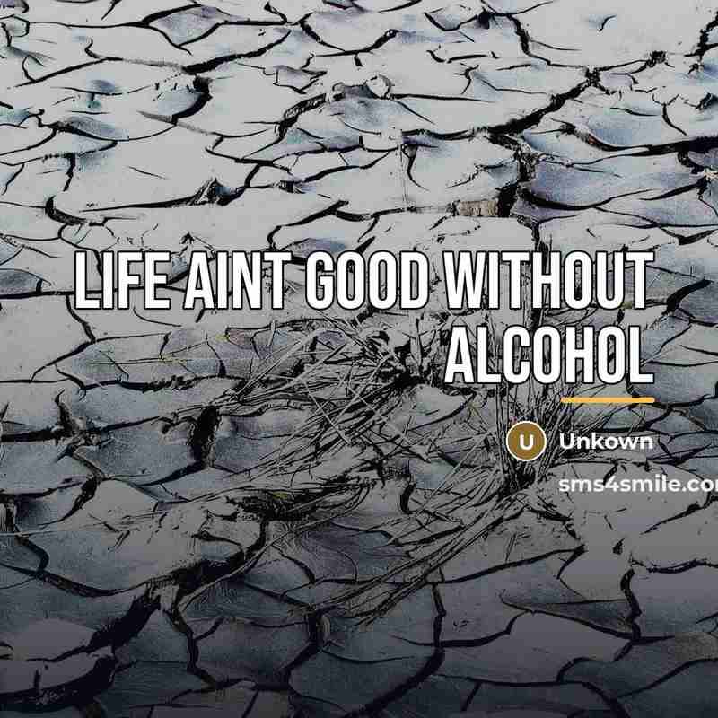 “Life aint good without alcohol…” quote by Unkown