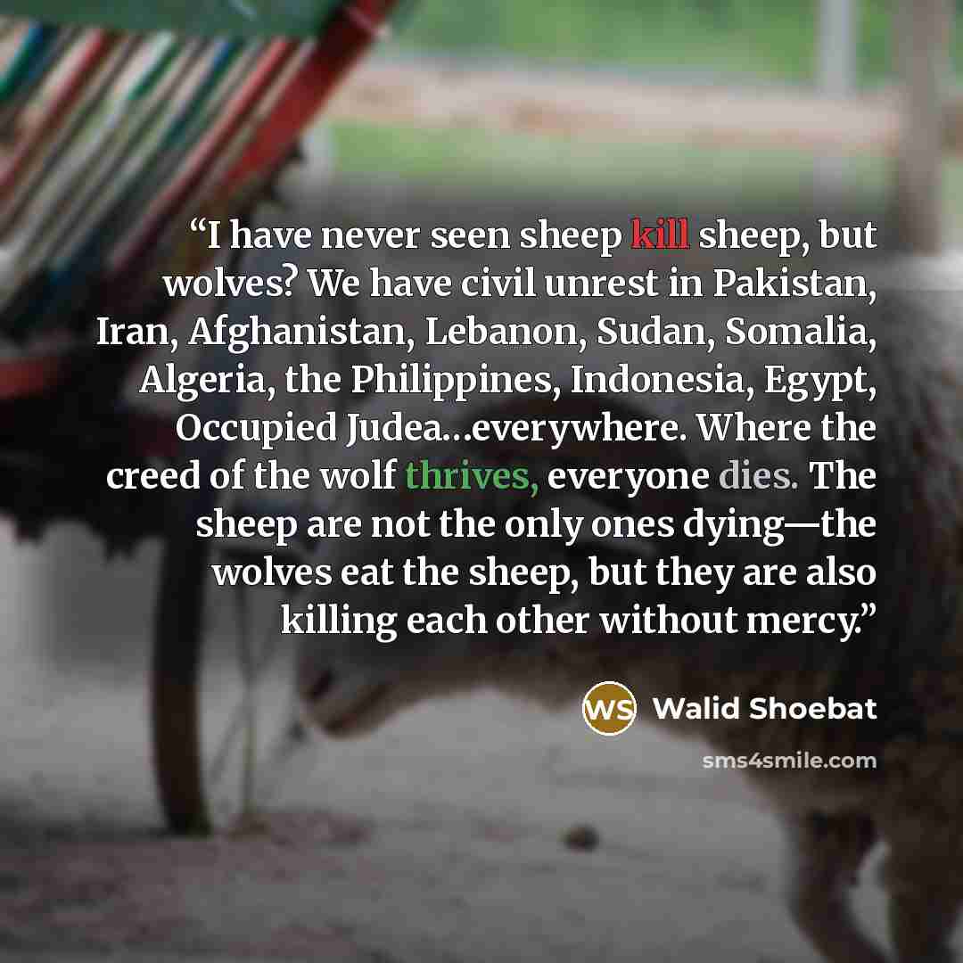 “I have never seen sheep kill sheep, but wolves? We have civil unrest in Pakistan, Iran, Afghanistan, Lebanon, Sudan, Somalia, Algeria, the Philippines, Indonesia, Egypt, Occupied Judea…everywhere. Where the creed of the wolf thrives, everyone dies. The sheep are not the only ones dying—the wolves…” quote by Walid Shoebat