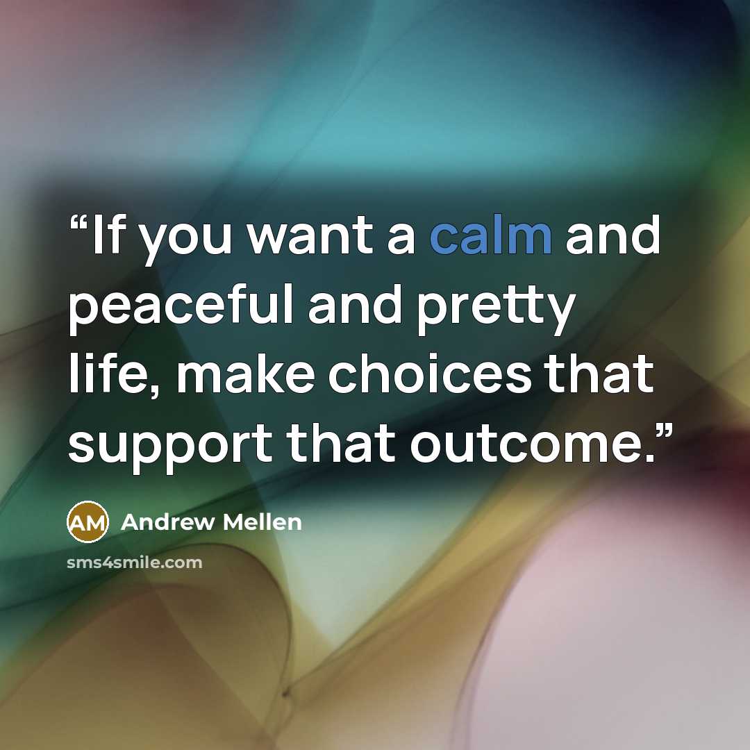 “If you want a calm and peaceful and pretty life, make choices that support that outcome.” quote by Andrew Mellen