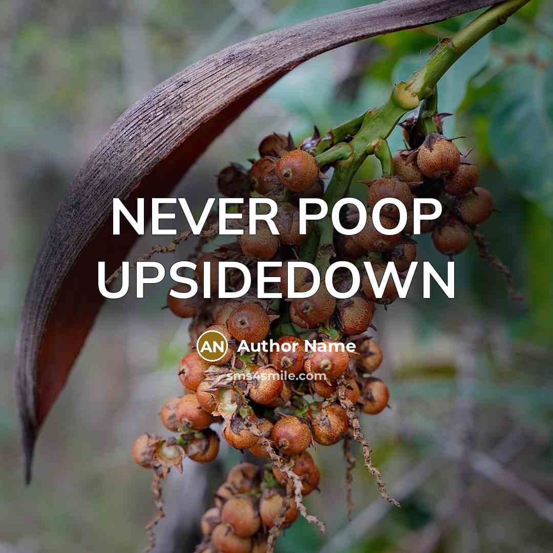 “NEVER POOP UPSIDEDOWN” quote by Author Name