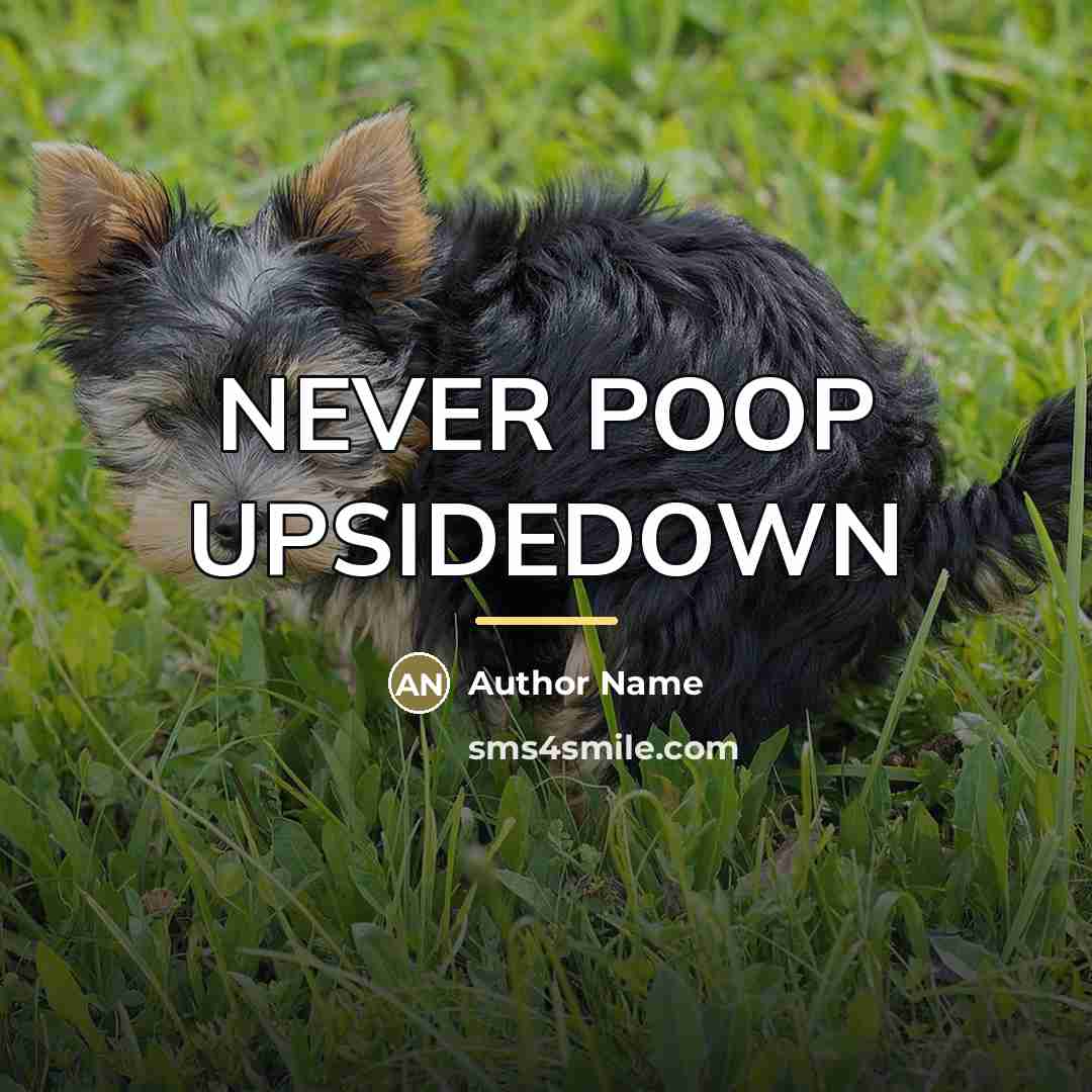“NEVER POOP UPSIDEDOWN…” quote by Author Name