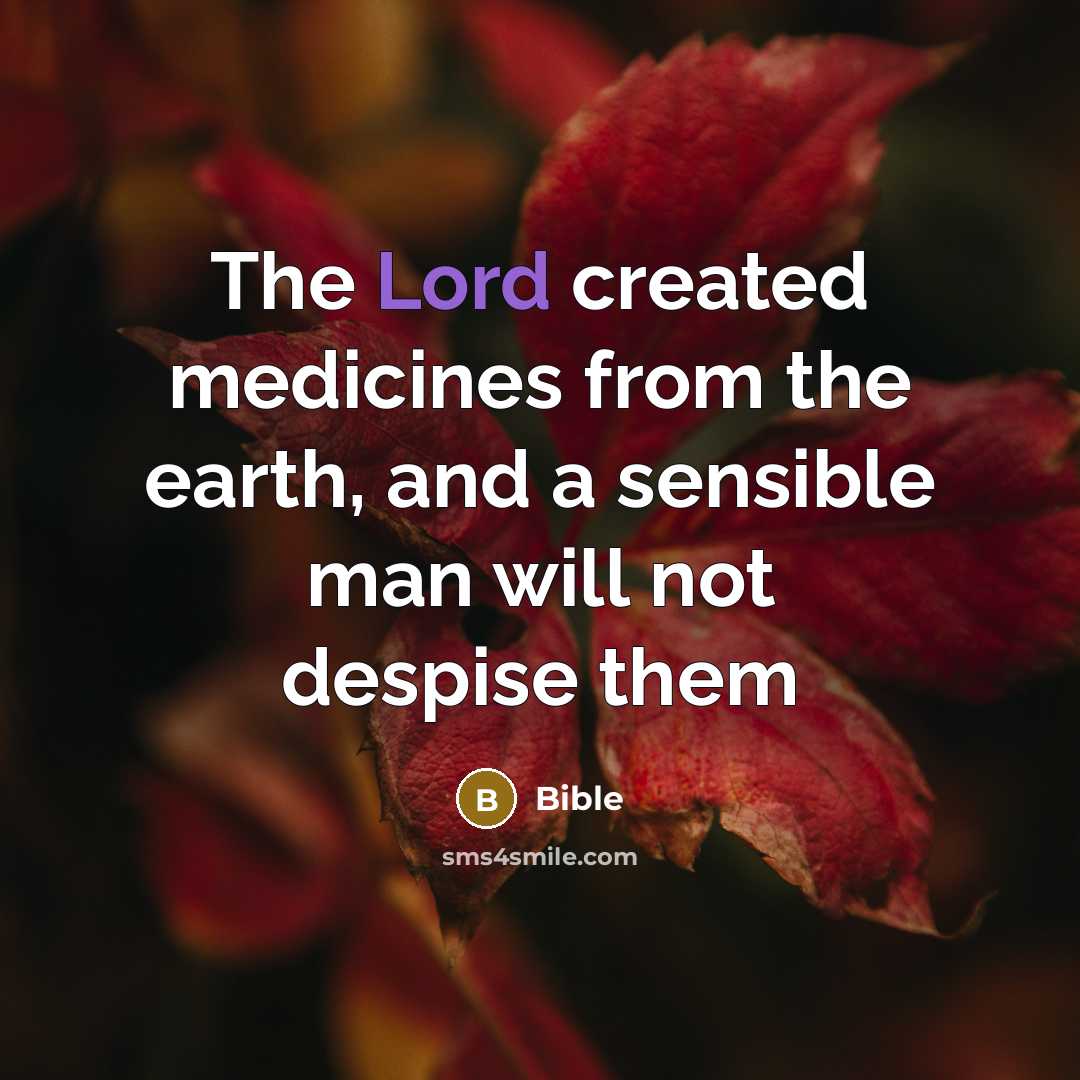 “The Lord created medicines from the earth, and a sensible…” quote by Bible