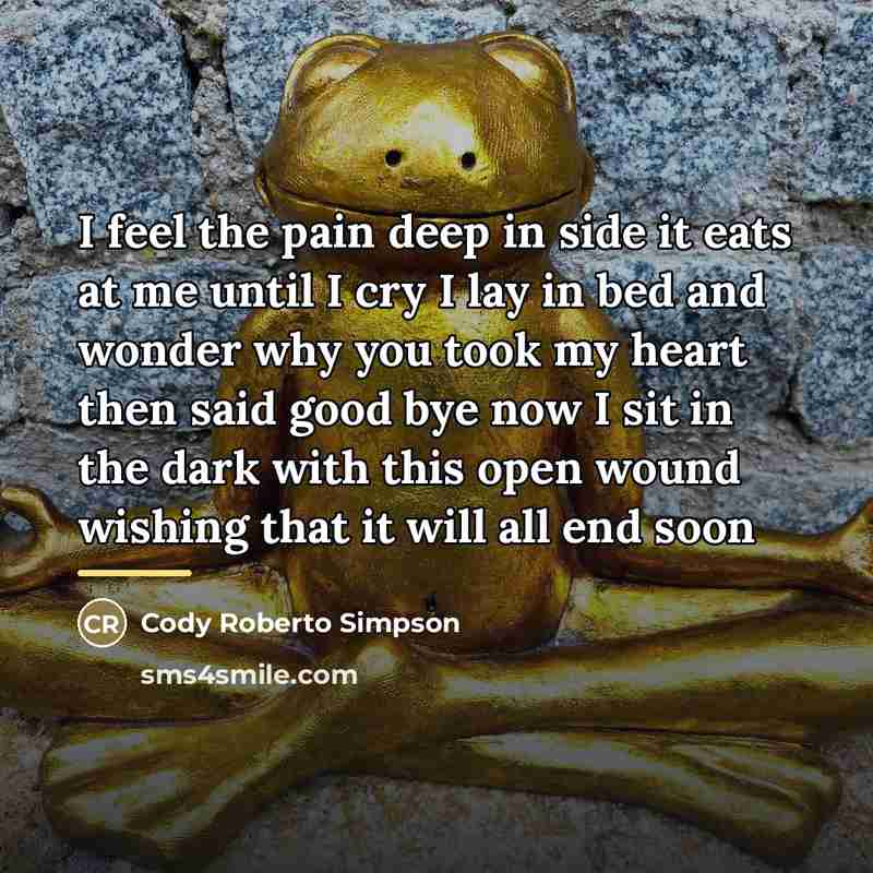 “I feel the pain deep in side it eats at…” quote by Cody Roberto Simpson