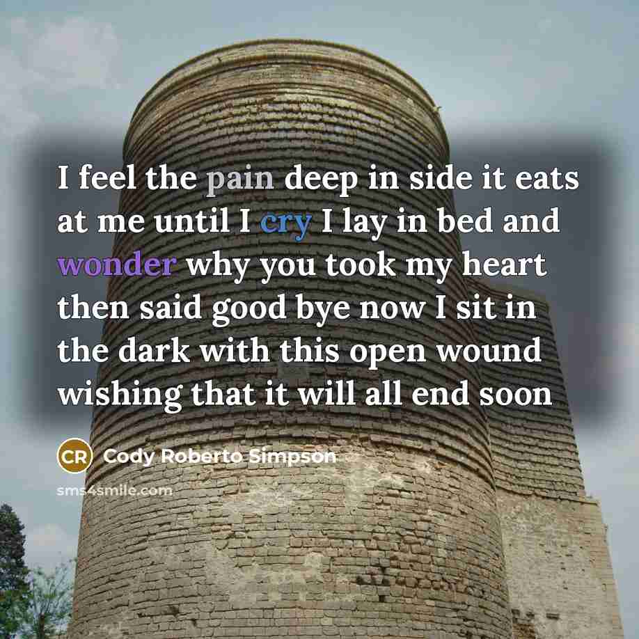 “I feel the pain deep in side it eats at me until I cry I lay in bed and wonder why you took my heart then said good bye now I sit in the dark with this open wound wishing that it will all end soon” quote by Cody Roberto Simpson