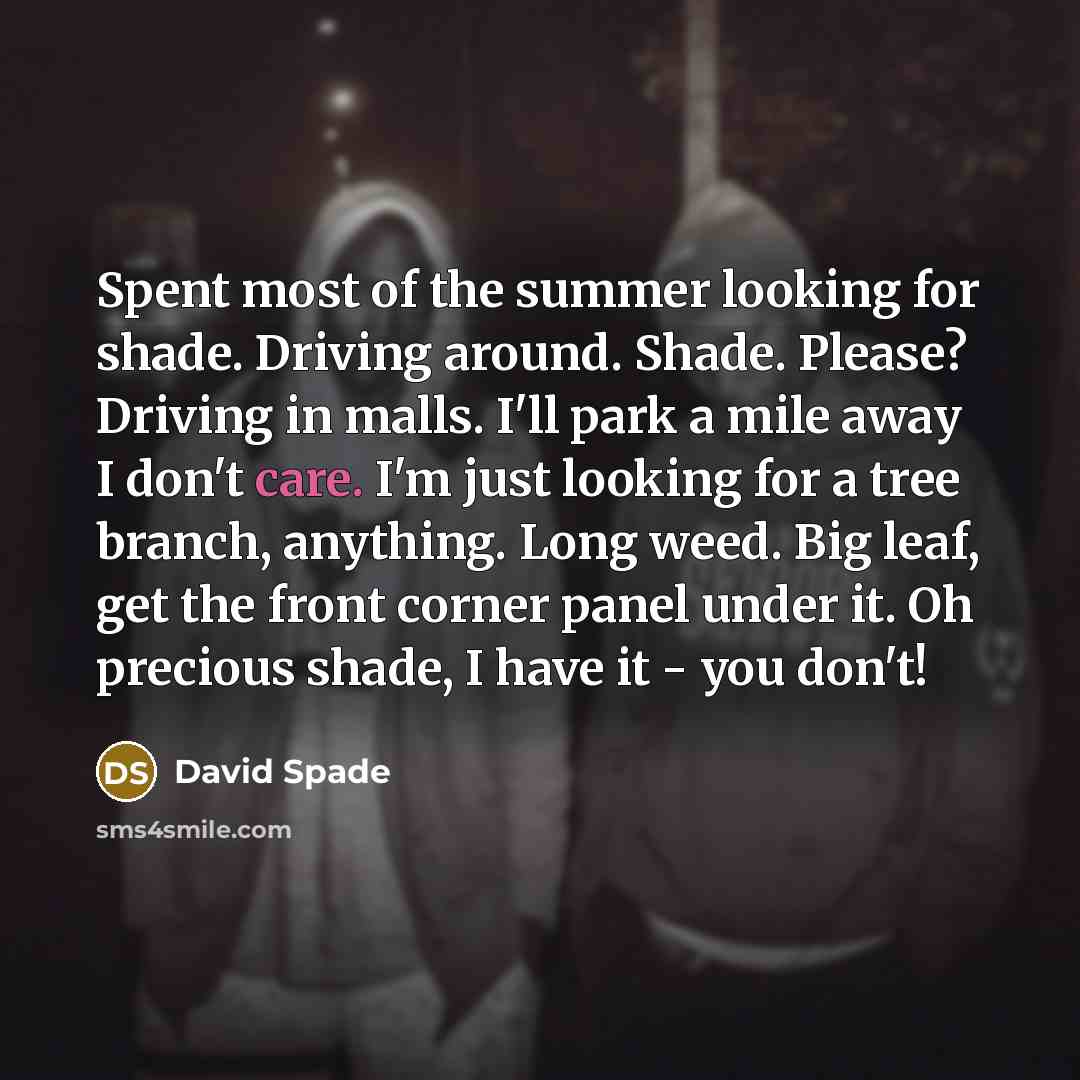 “Spent most of the summer looking for shade. Driving around.…” quote by David Spade