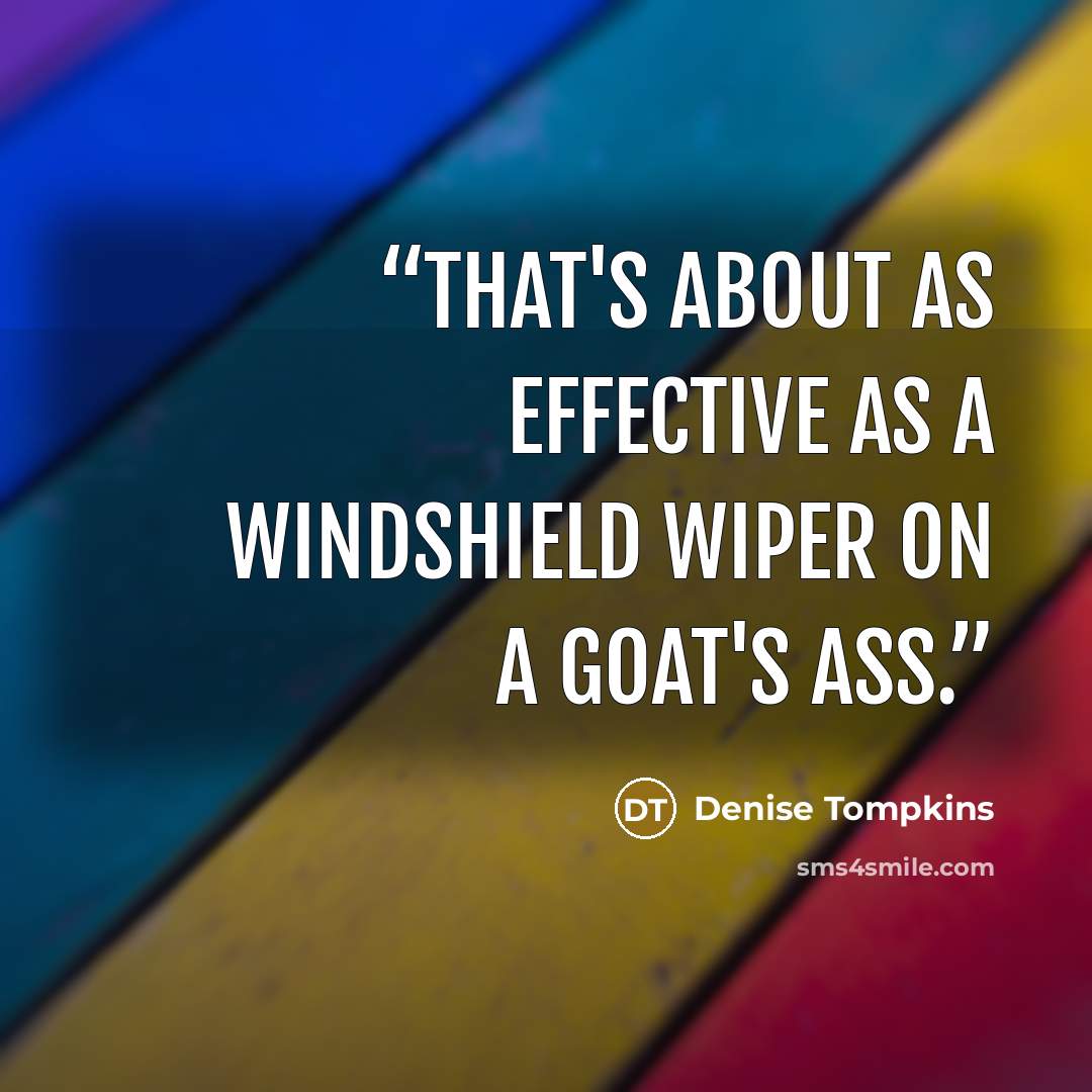 “That's about as effective as a windshield wiper on a goat's ass.” quote by Denise Tompkins
