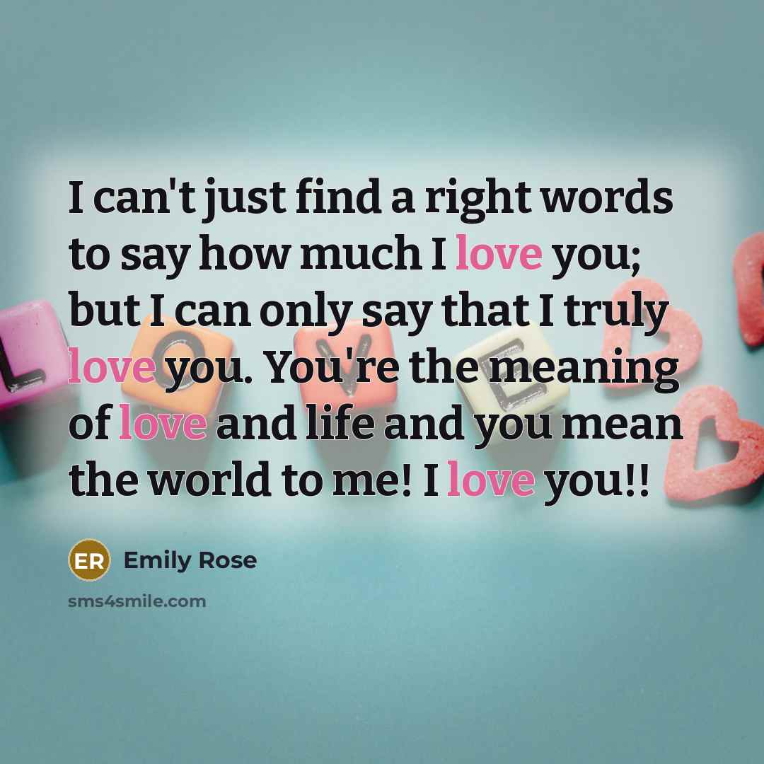 “I can't just find a right words to say how…” quote by Emily Rose