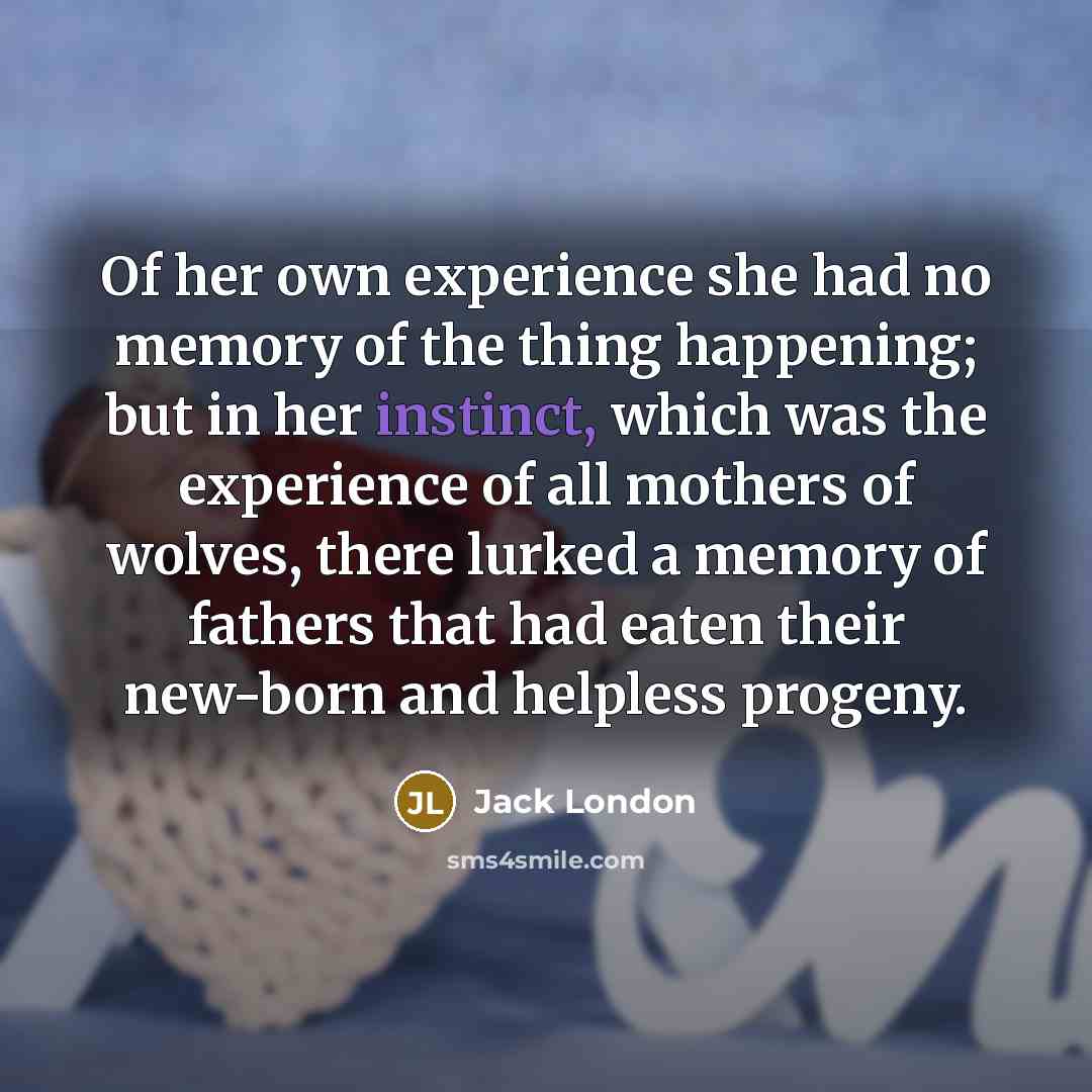 “Of her own experience she had no memory of the…” quote by Jack London