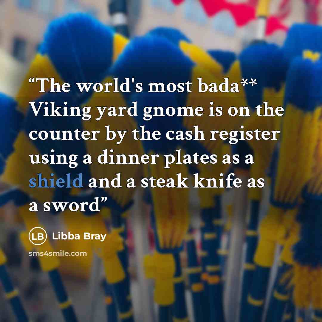 “The world's most bada** Viking yard gnome is on the counter by the cash register using a dinner plates as a shield and a steak knife as a sword” quote by Libba Bray