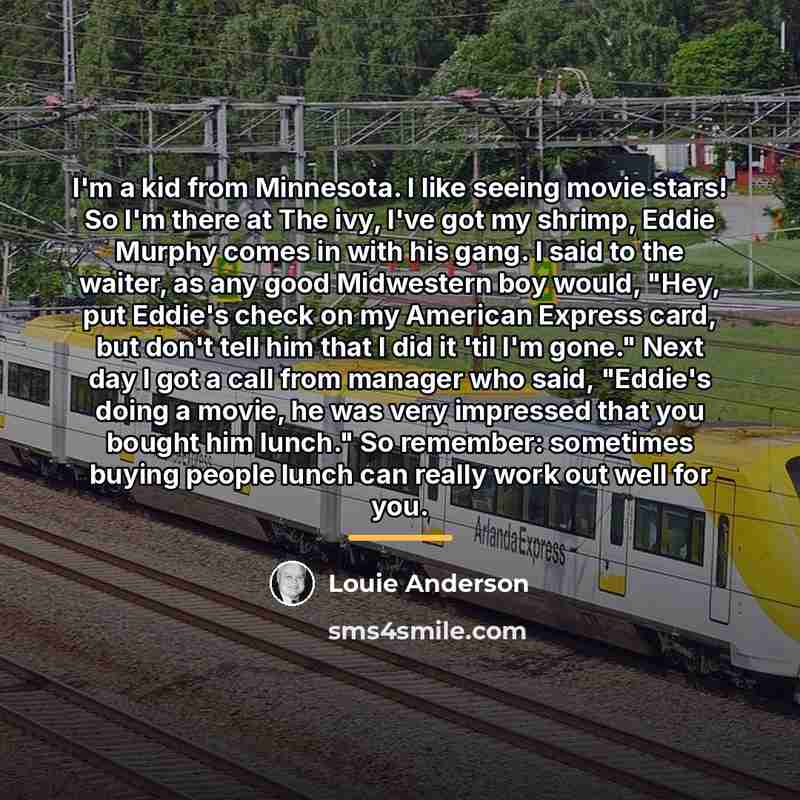 “I'm a kid from Minnesota. I like seeing movie stars!…” quote by Louie Anderson
