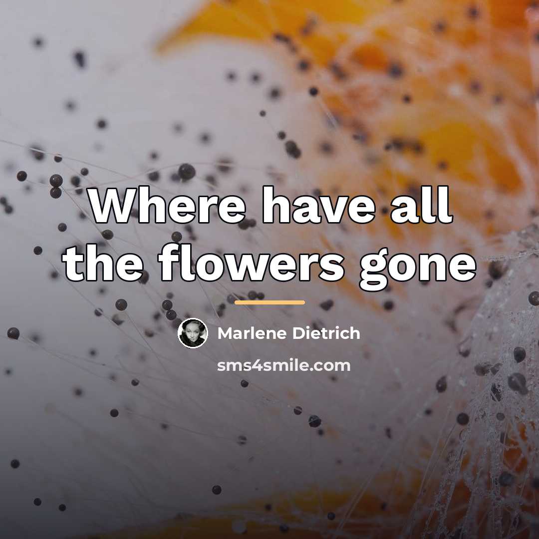“Where have all the flowers gone…” quote by Marlene Dietrich