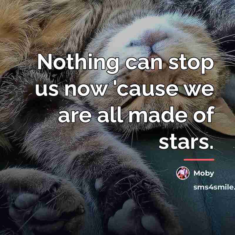 “Nothing can stop us now 'cause we are all made…” quote by Moby