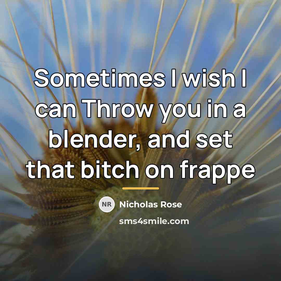 “Sometimes I wish I can Throw you in a blender,…” quote by Nicholas Rose