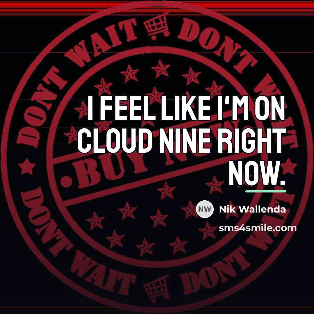 “I feel like I'm on cloud nine right now.…” quote by Nik Wallenda
