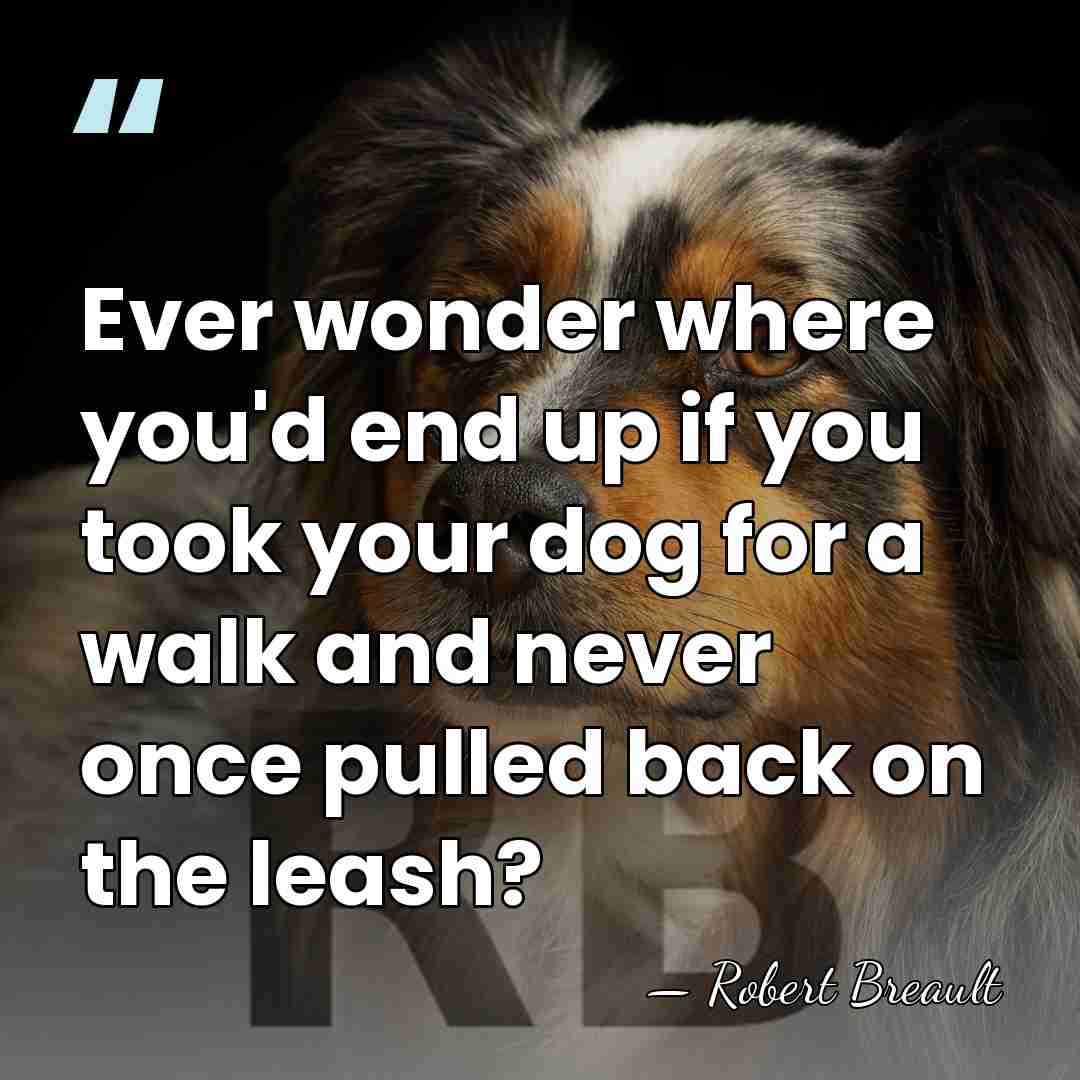 Ever wonder where you'd end up if you took your dog for&hellip; - Robert Breault