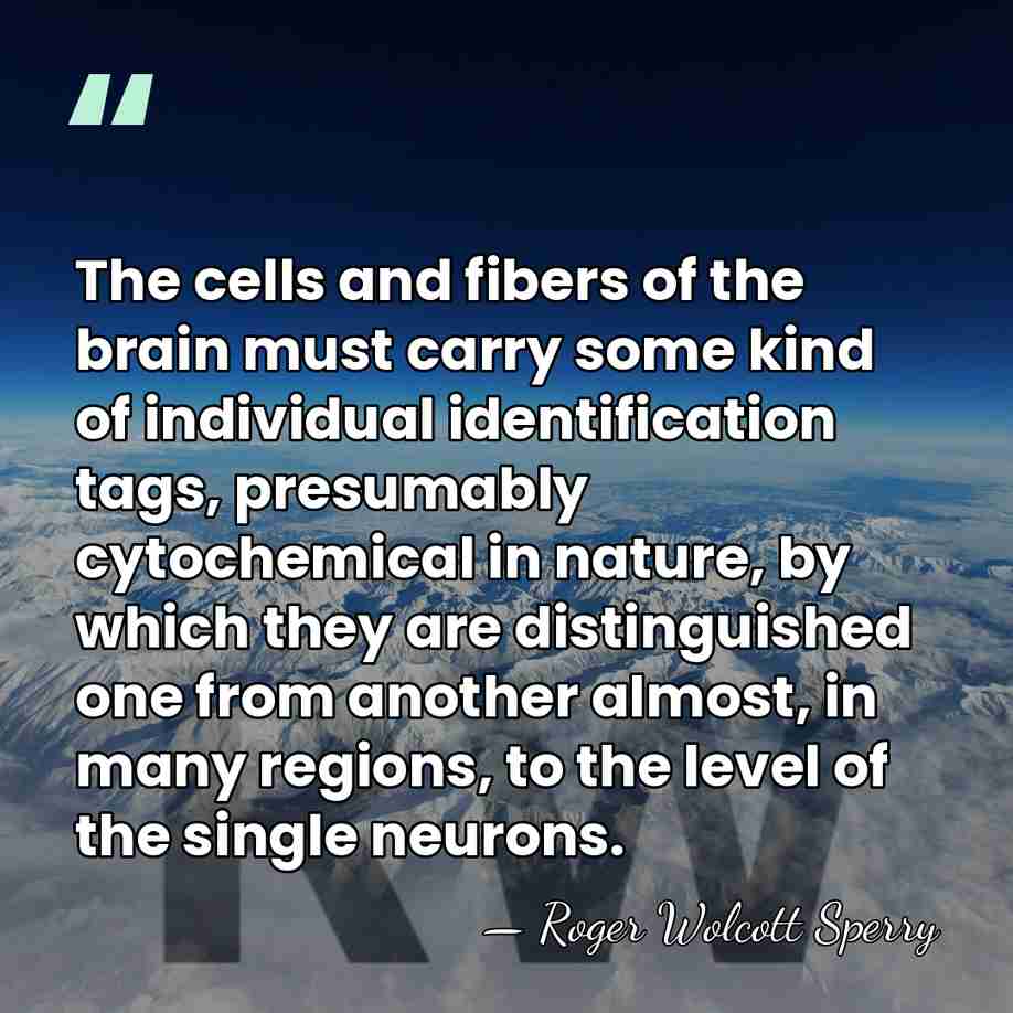 The cells and fibers of the brain must carry some kind of&hellip; - Roger Wolcott Sperry