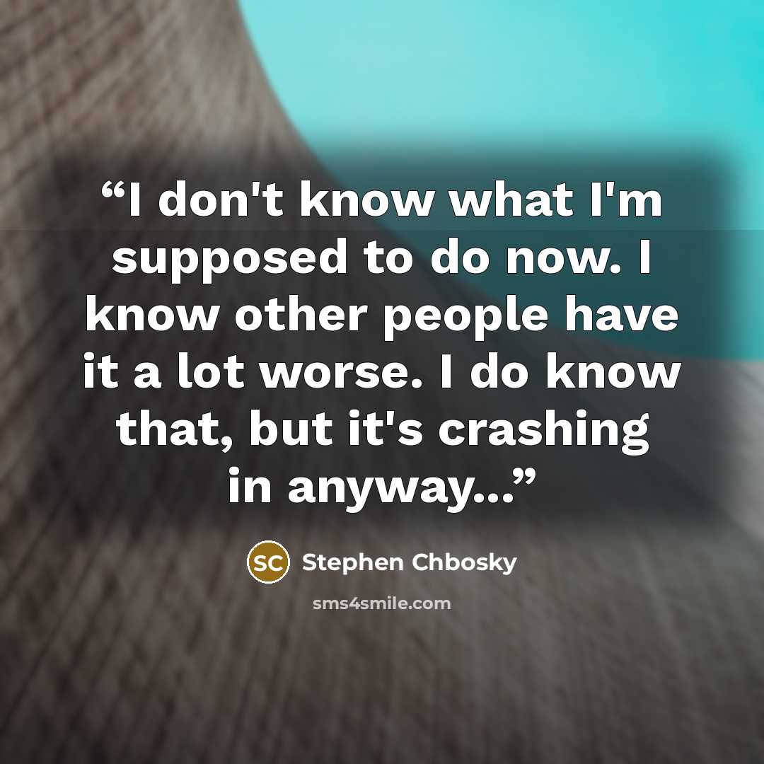 “I don't know what I'm supposed to do now. I know other people have it a lot worse. I do know that, but it's crashing in anyway...” quote by Stephen Chbosky