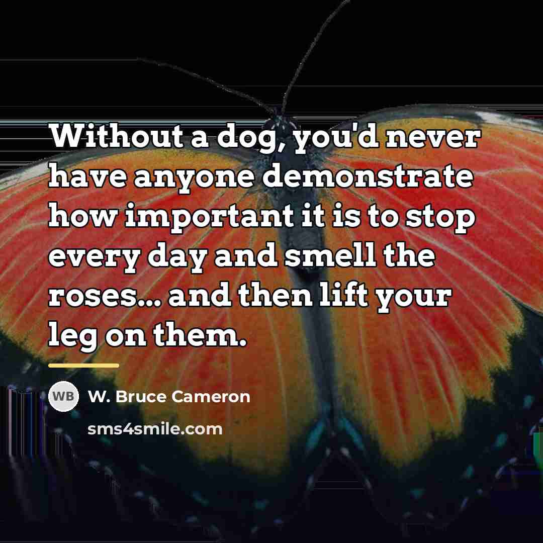 “Without a dog, you'd never have anyone demonstrate how important…” quote by W. Bruce Cameron