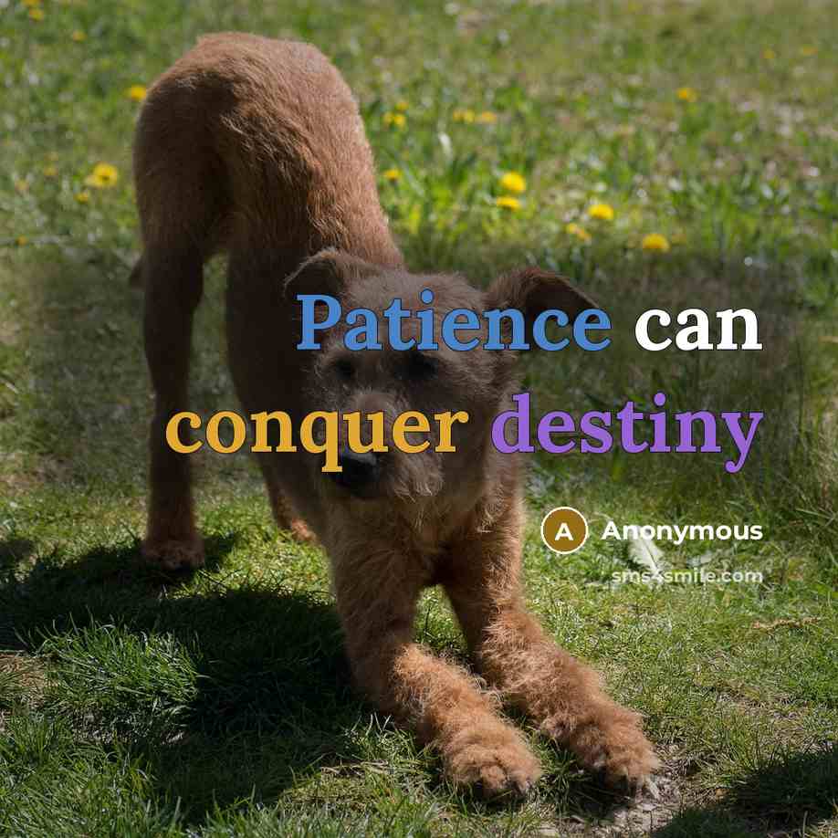 “Patience can conquer destiny” quote by Anonymous