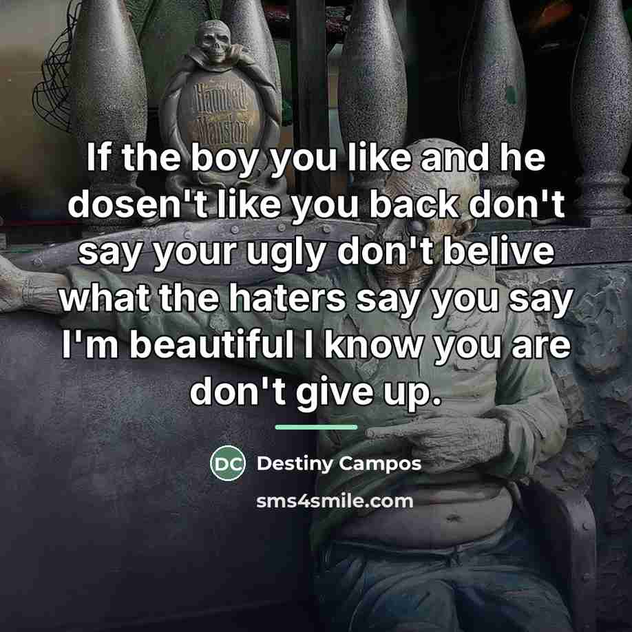 “If the boy you like and he dosen't like you…” quote by Destiny Campos