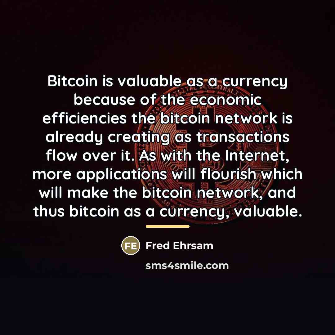 “Bitcoin is valuable as a currency because of the economic…” quote by Fred Ehrsam