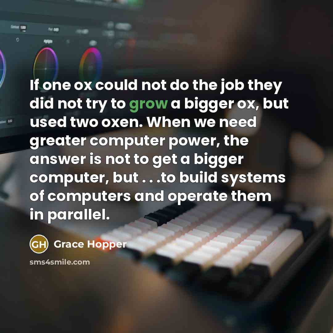 “If one ox could not do the job they did…” quote by Grace Hopper