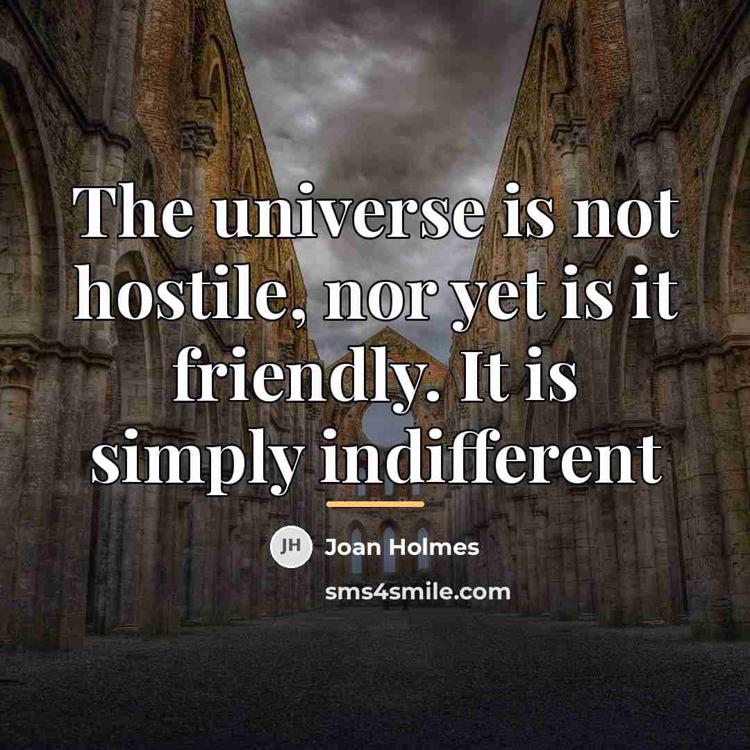 “The universe is not hostile, nor yet is it friendly.…” quote by Joan Holmes