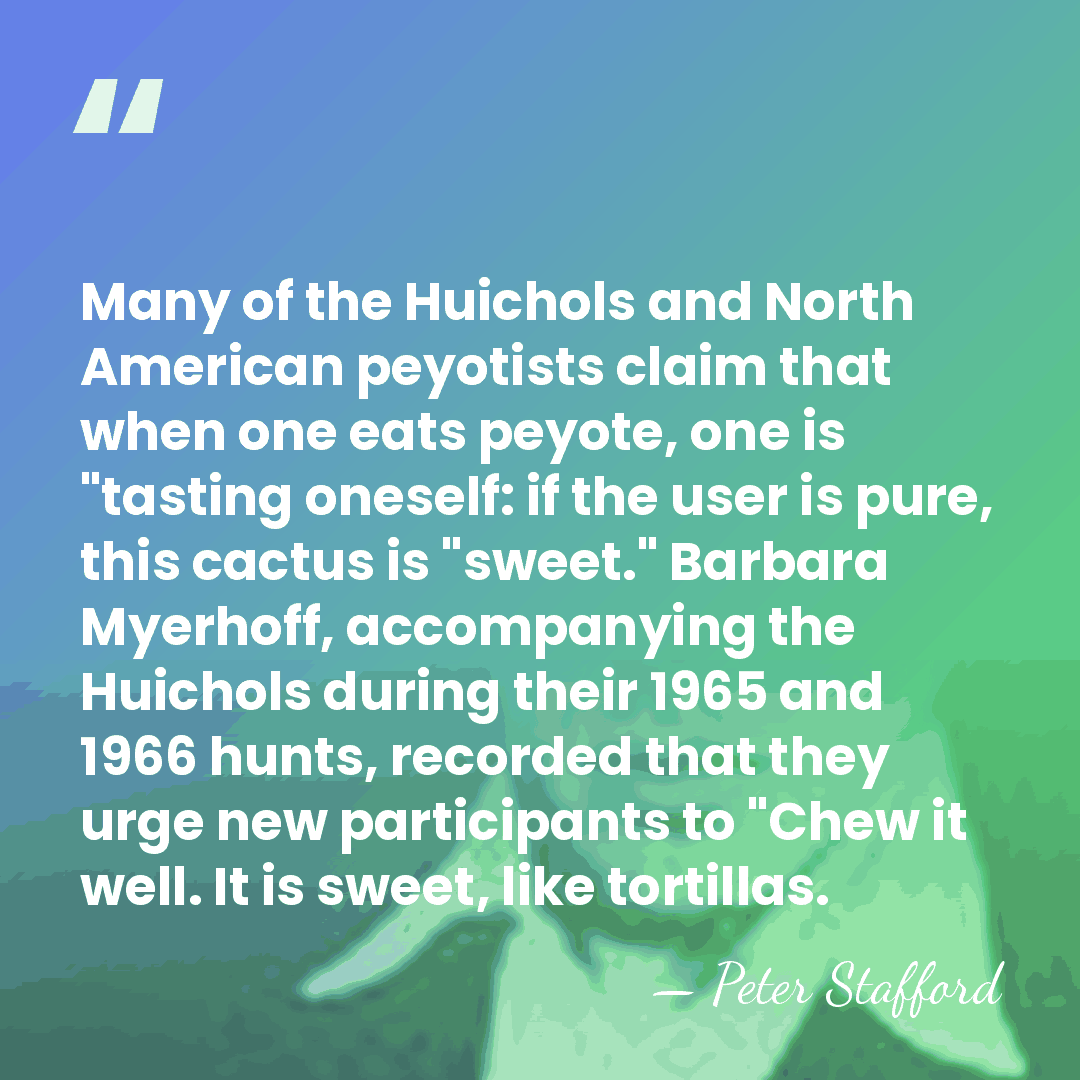 Many of the Huichols and North American peyotists claim that when one&hellip; - Peter Stafford
