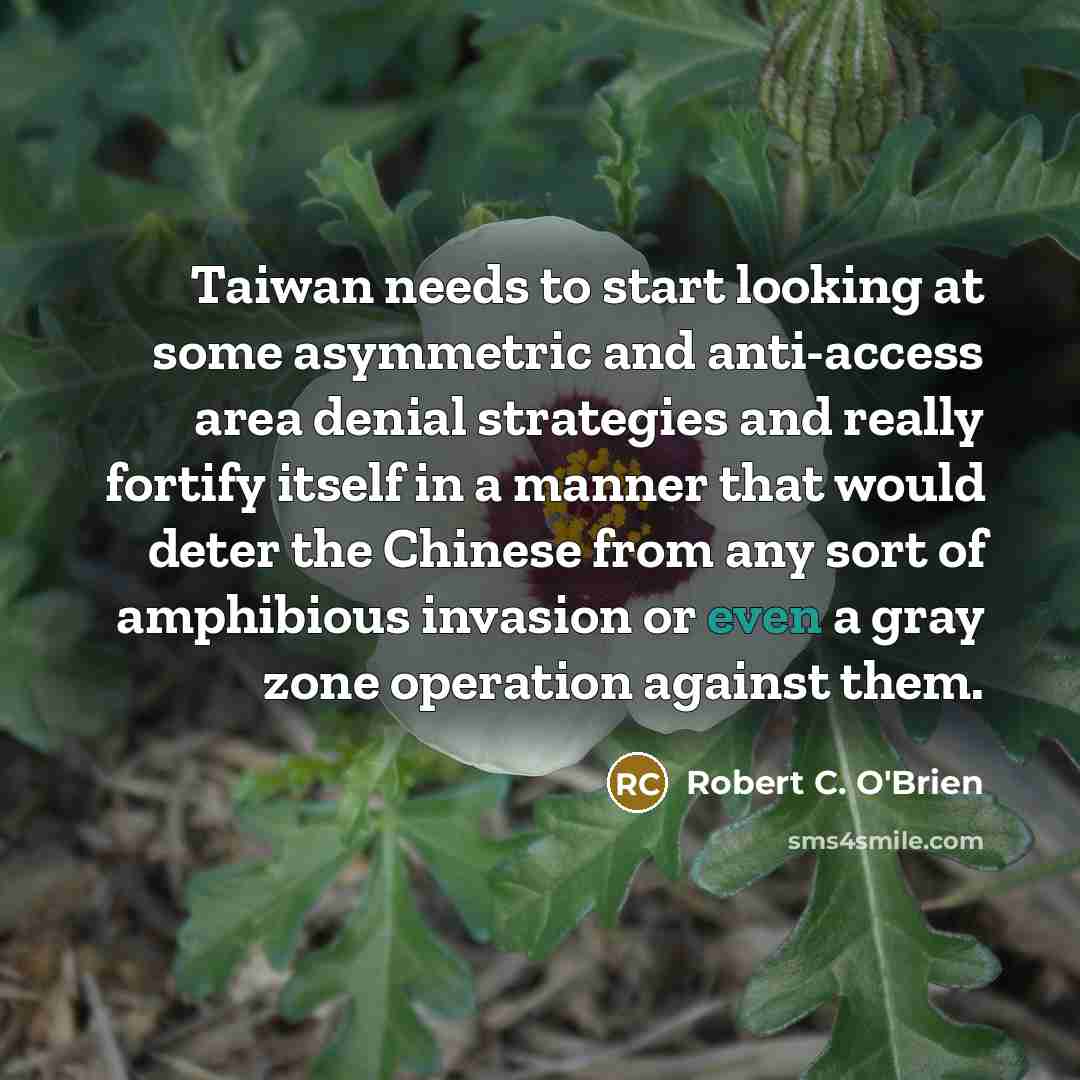 “Taiwan needs to start looking at some asymmetric and anti-access…” quote by Robert C. O'Brien