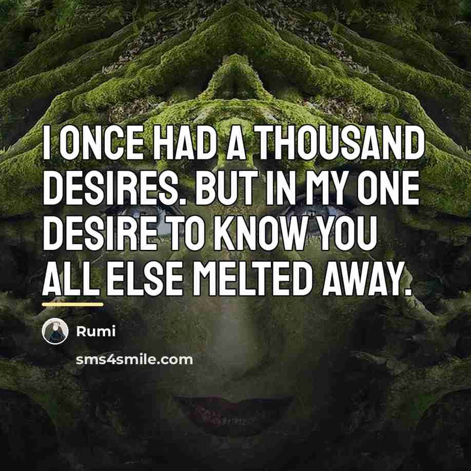 “I once had a thousand desires. But in my one…” quote by Rumi