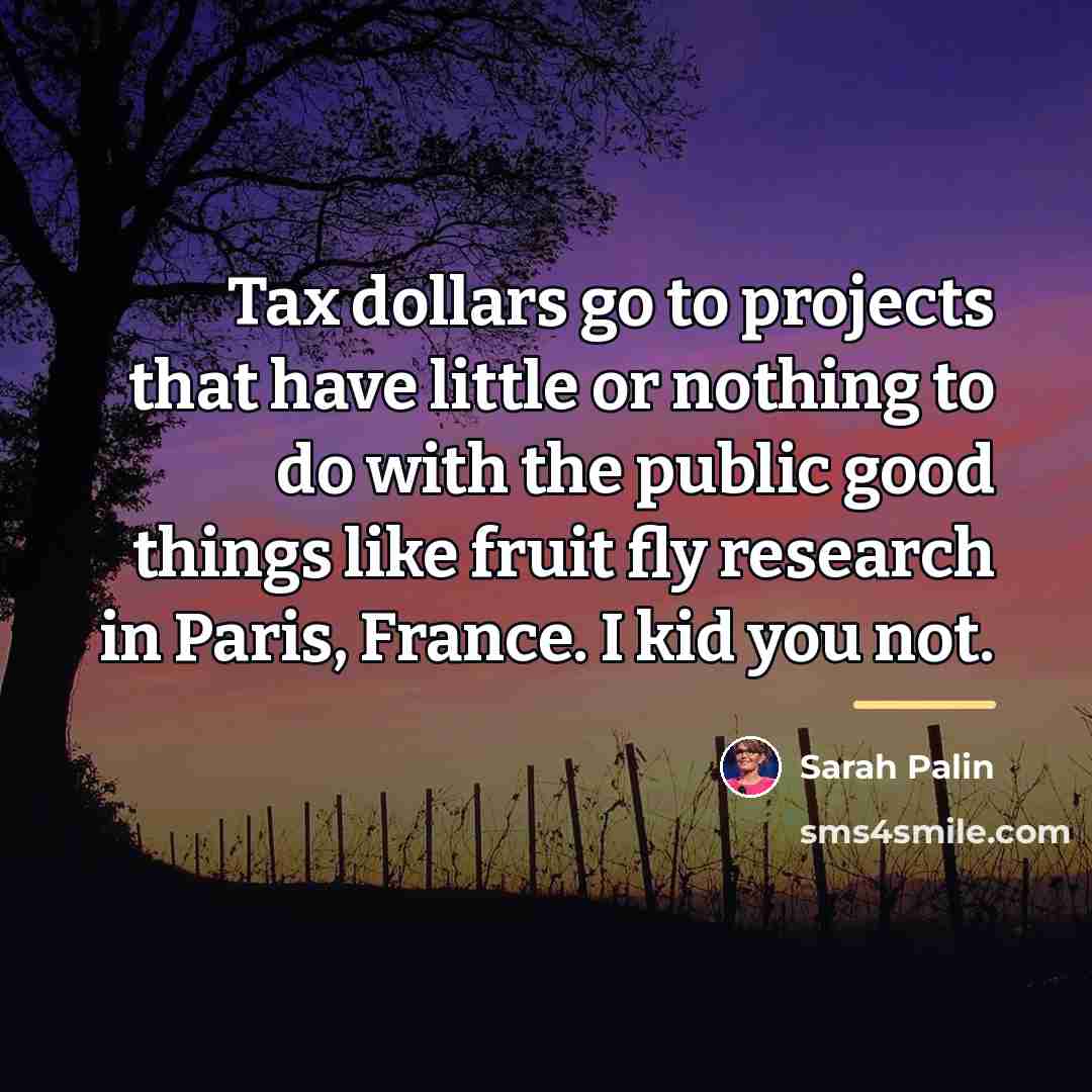 “Tax dollars go to projects that have little or nothing…” quote by Sarah Palin