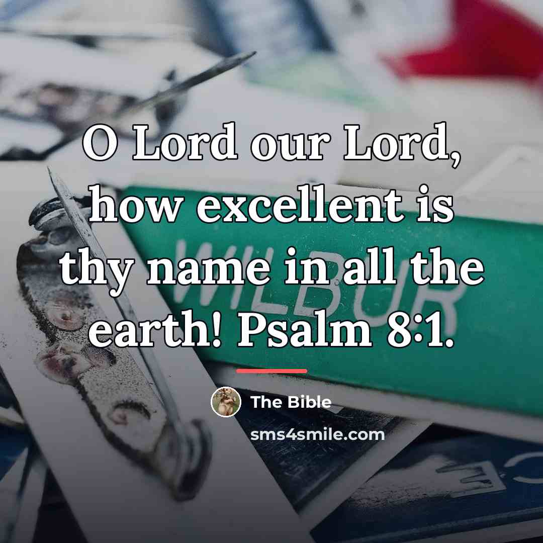 “O Lord our Lord, how excellent is thy name in…” quote by The Bible