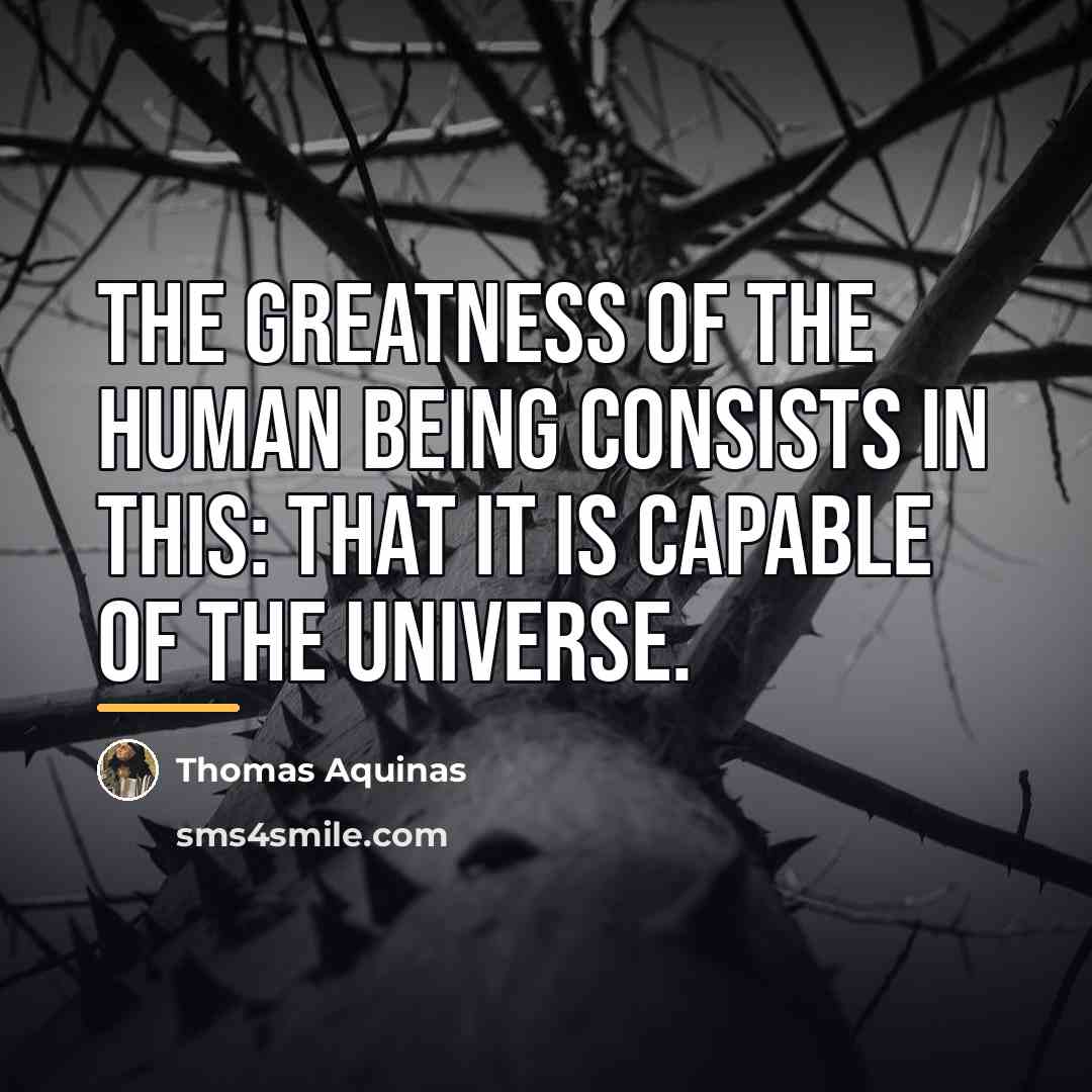 “The greatness of the human being consists in this: that…” quote by Thomas Aquinas