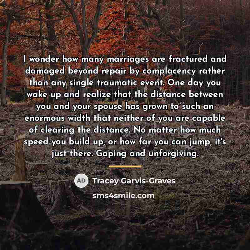 “I wonder how many marriages are fractured and damaged beyond…” quote by Tracey Garvis-Graves