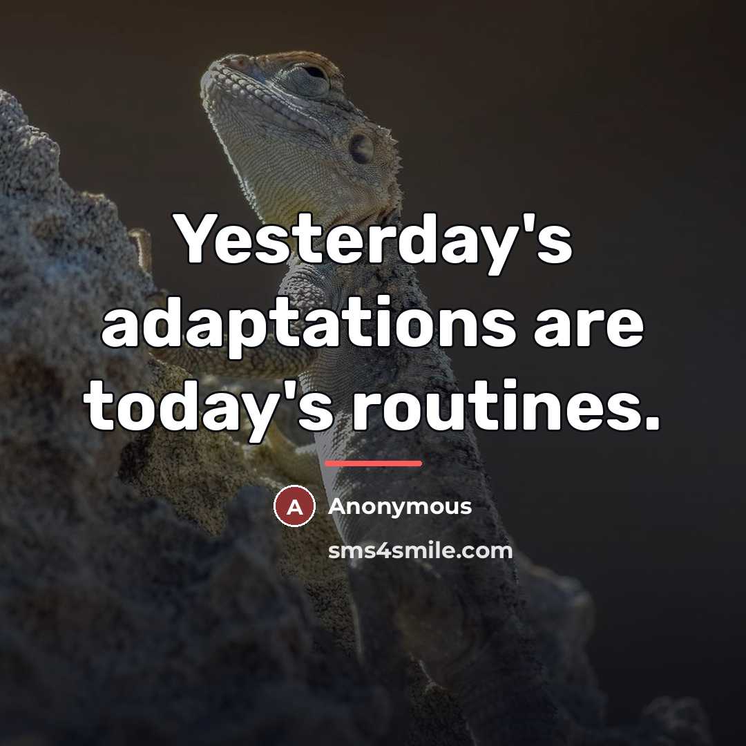 “Yesterday's adaptations are today's routines.…” quote by Anonymous