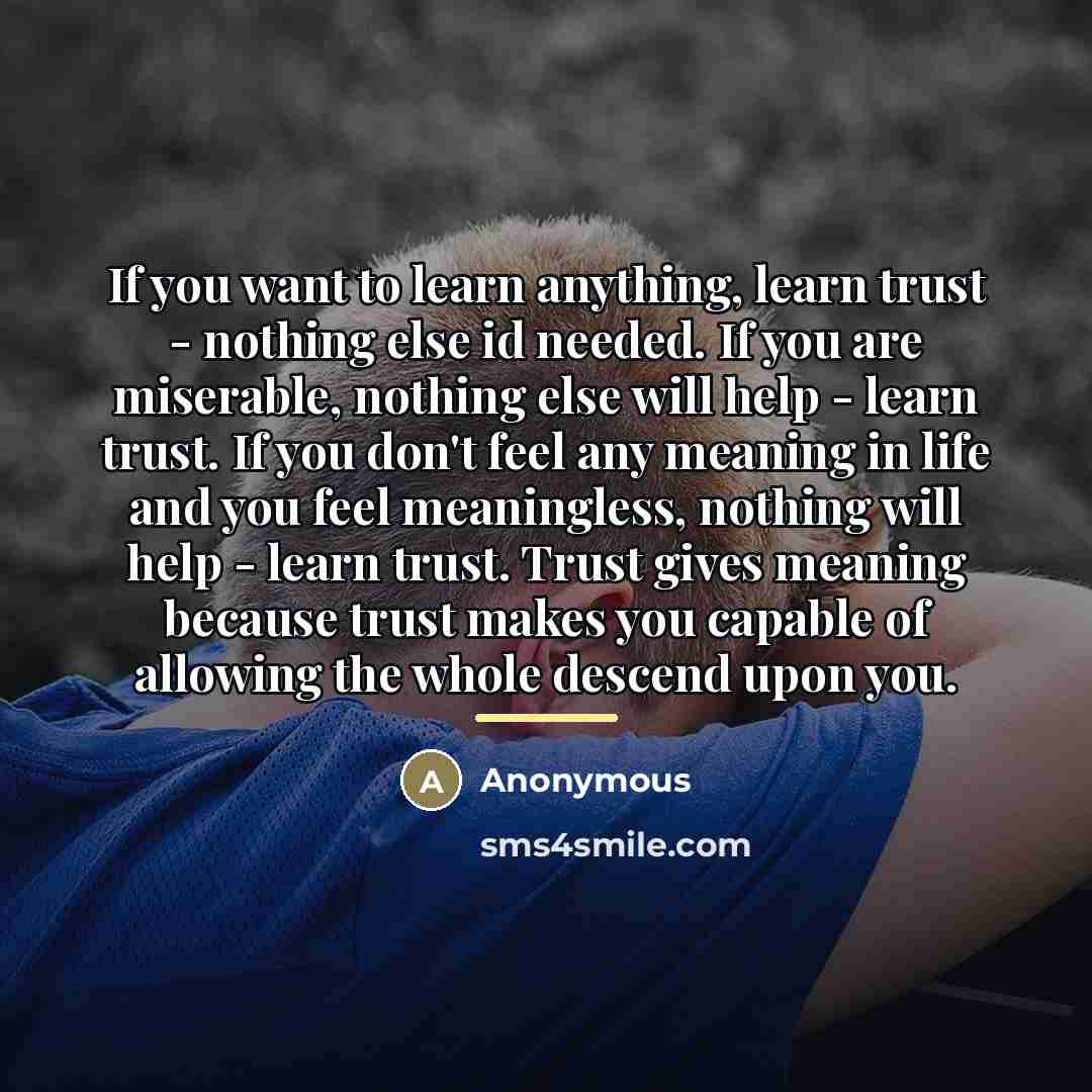 “If you want to learn anything, learn trust - nothing…” quote by Anonymous