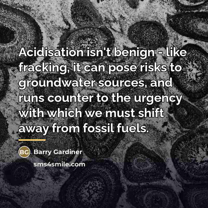 “Acidisation isn't benign - like fracking, it can pose risks…” quote by Barry Gardiner