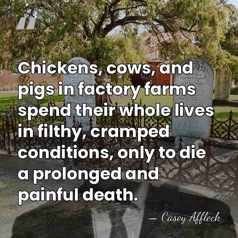 Chickens, cows, and pigs in factory farms spend their whole lives in&hellip; - Casey Affleck