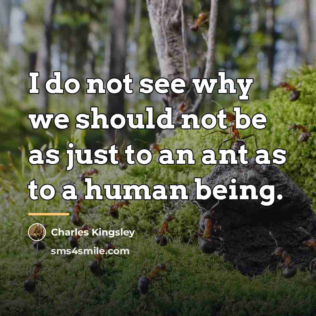 “I do not see why we should not be as…” quote by Charles Kingsley