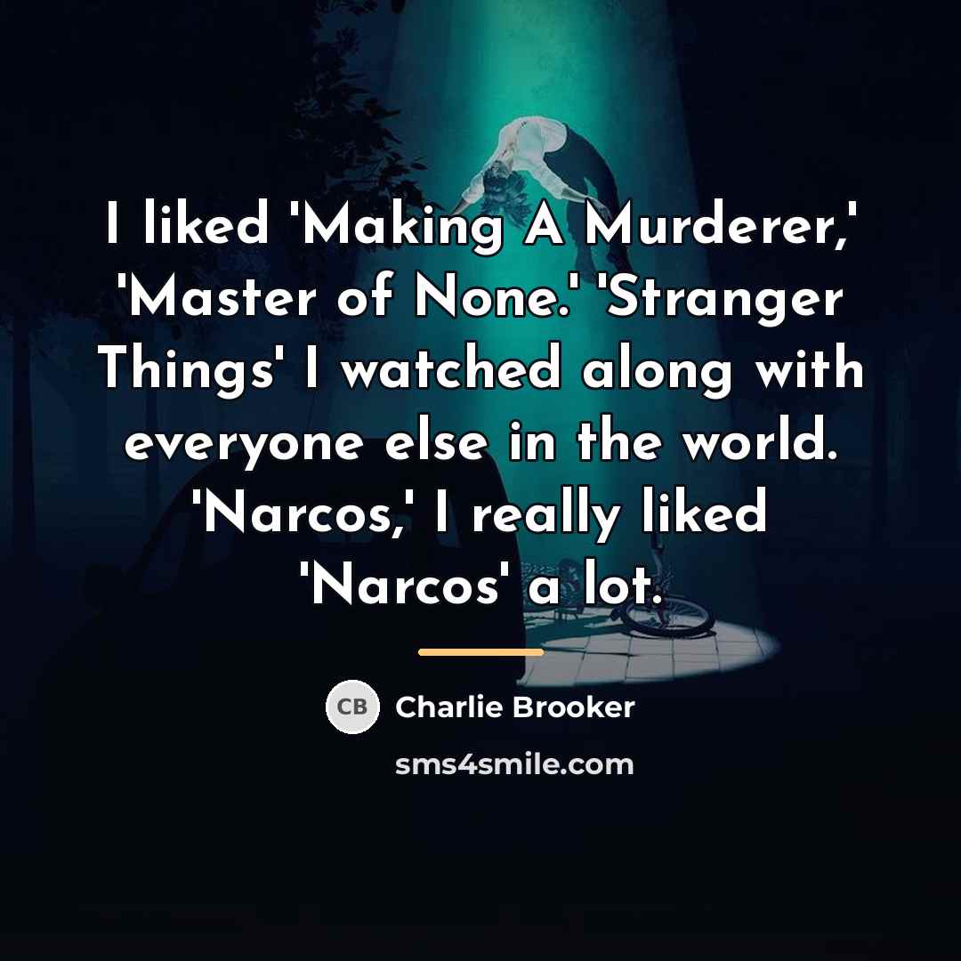 “I liked 'Making A Murderer,' 'Master of None.' 'Stranger Things'…” quote by Charlie Brooker