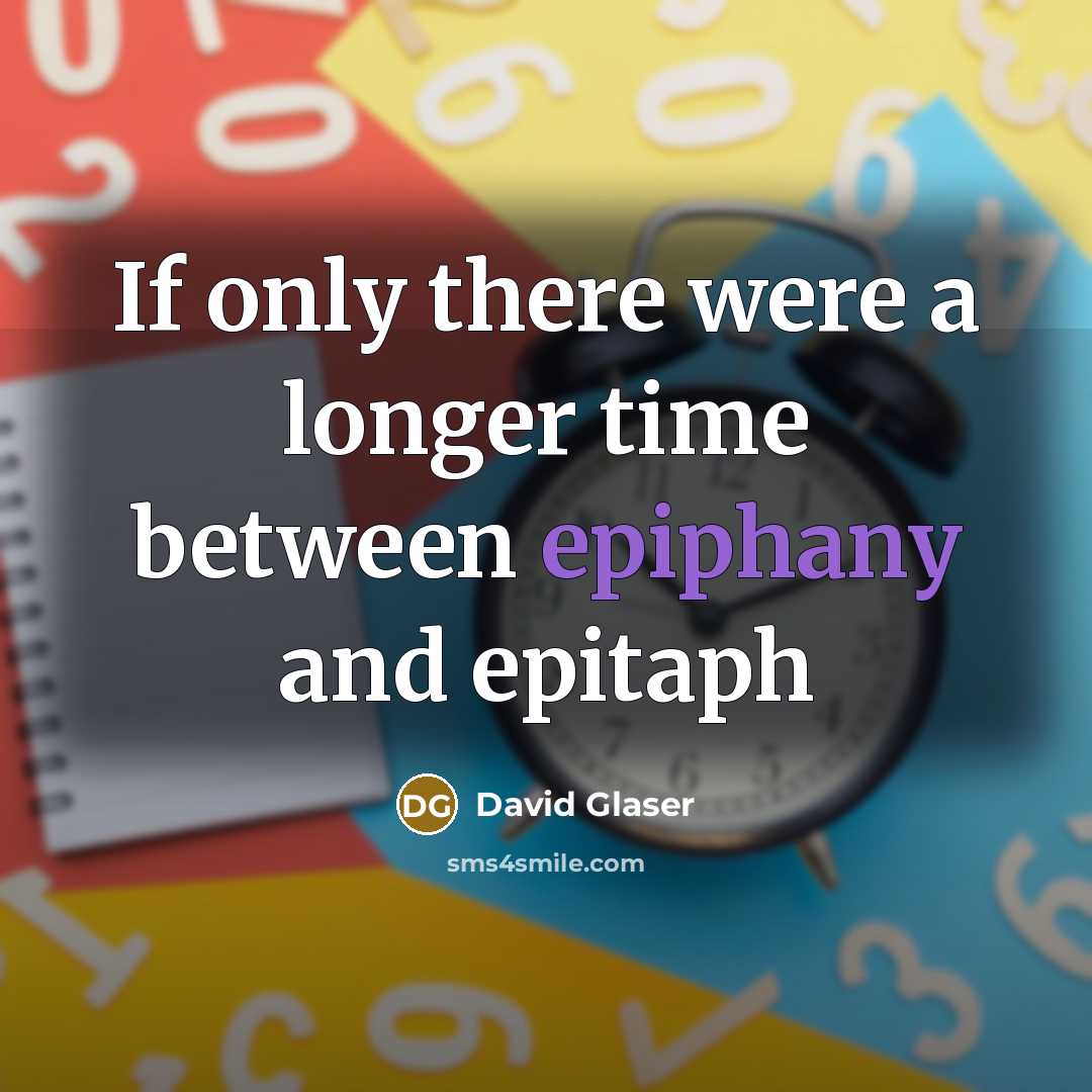 “If only there were a longer time between epiphany and epitaph” quote by David Glaser