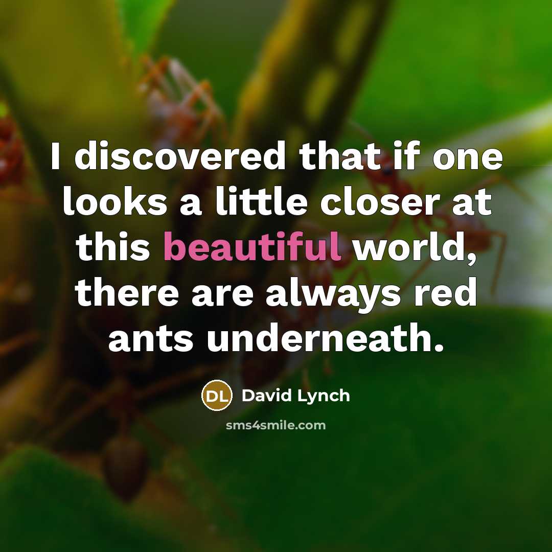 “I discovered that if one looks a little closer at…” quote by David Lynch