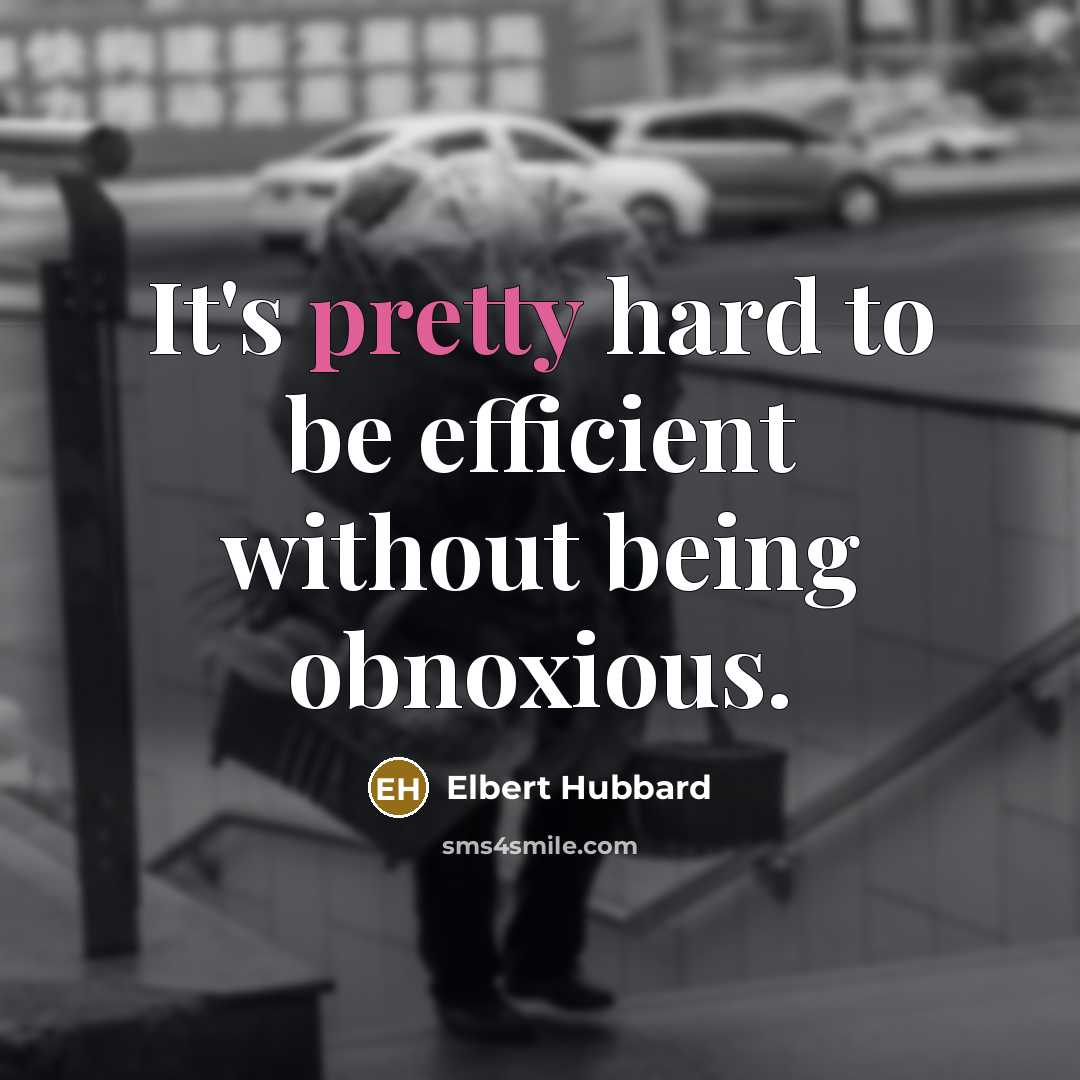 “It's pretty hard to be efficient without being obnoxious.” quote by Elbert Hubbard