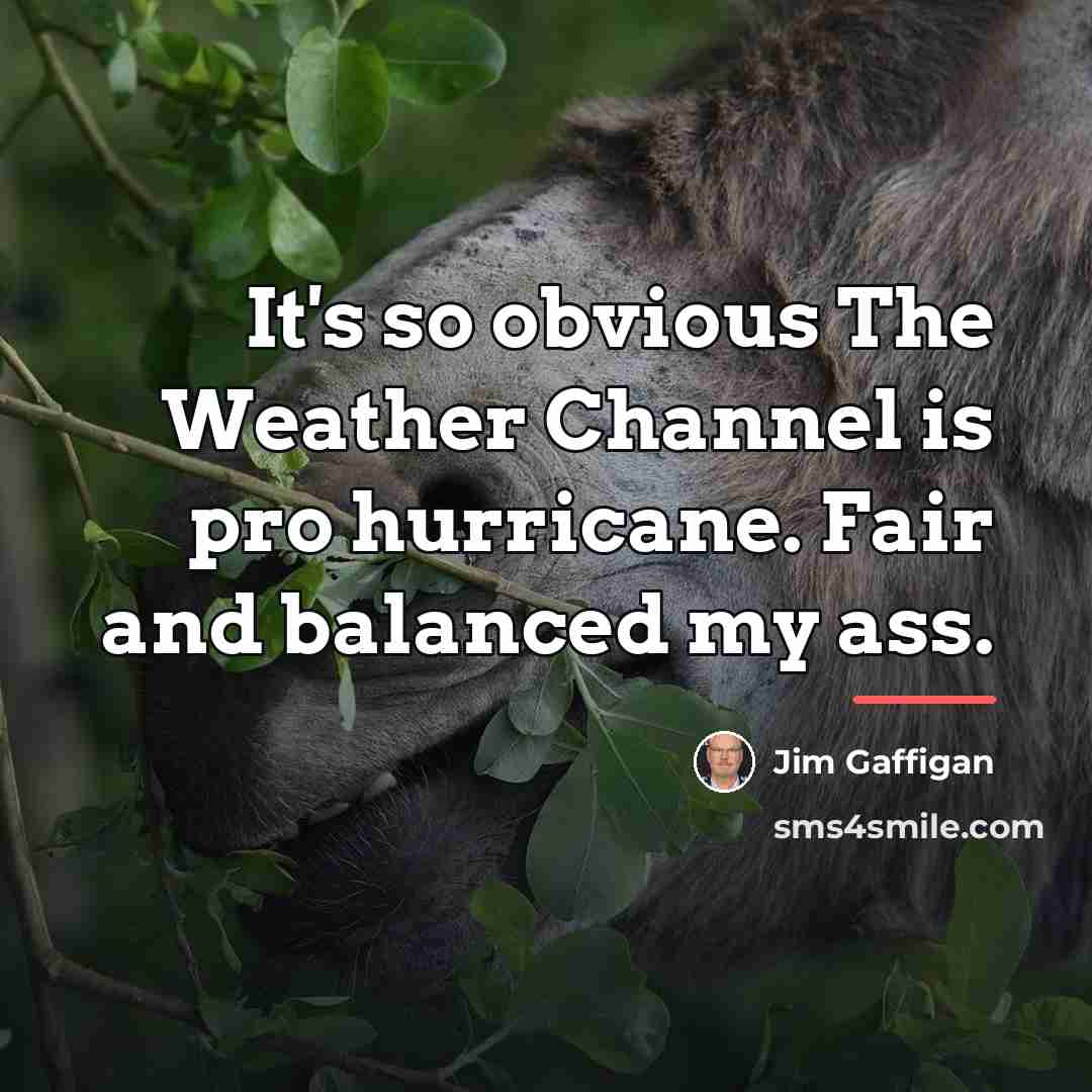 “It's so obvious The Weather Channel is pro hurricane. Fair…” quote by Jim Gaffigan