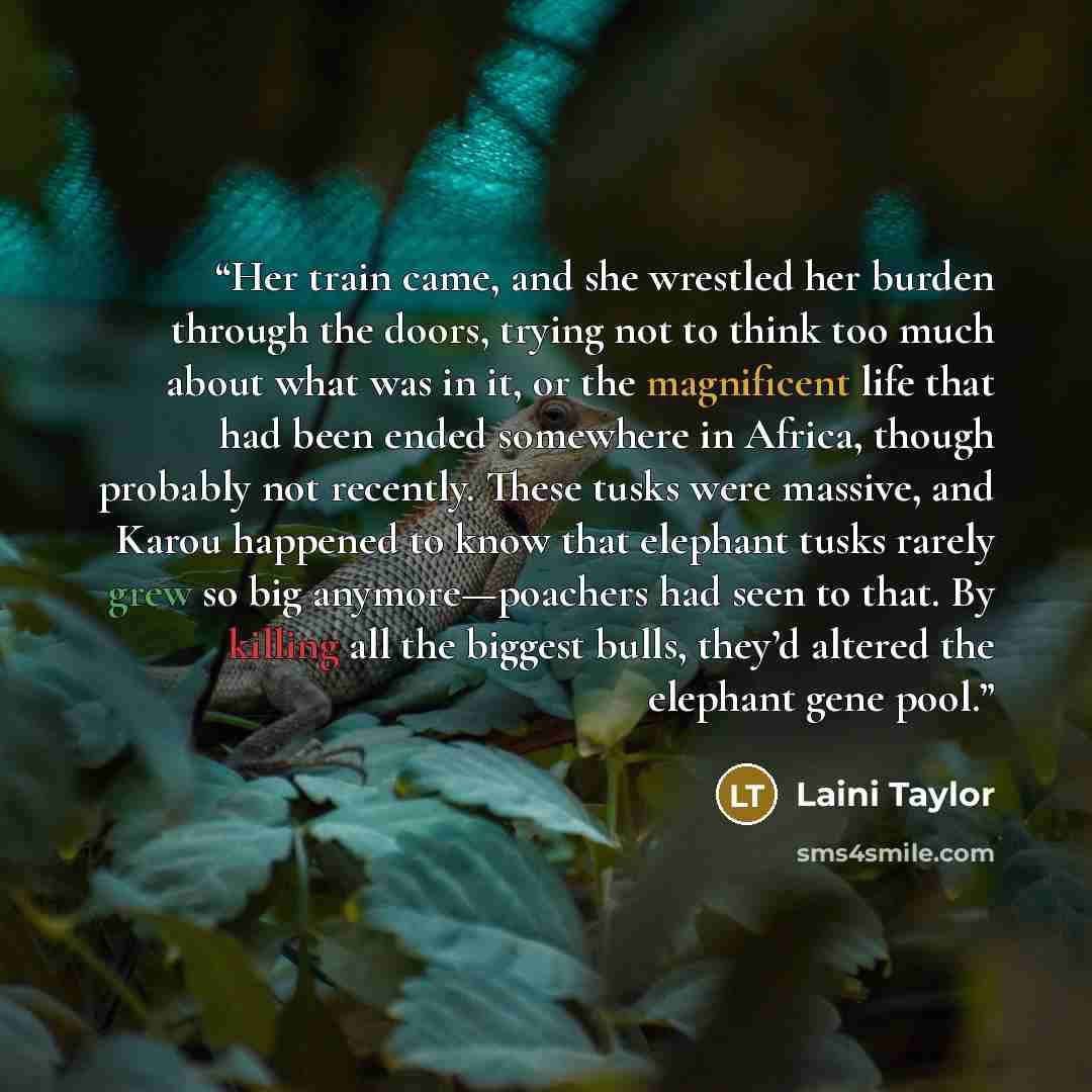 “Her train came, and she wrestled her burden through the doors, trying not to think too much about what was in it, or the magnificent life that had been ended somewhere in Africa, though probably not recently. These tusks were massive, and Karou happened to know that elephant tusks rarely grew so…” quote by Laini Taylor