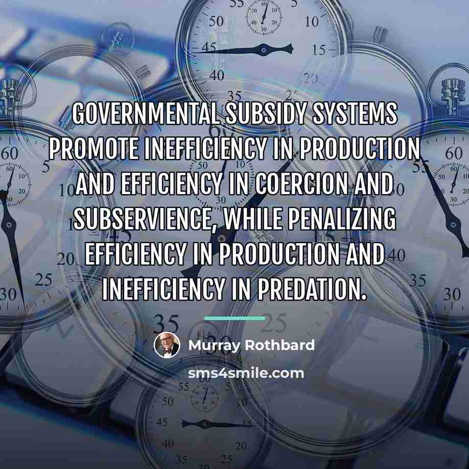 “Governmental subsidy systems promote inefficiency in production and efficiency in…” quote by Murray Rothbard