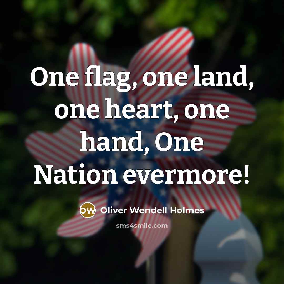 “One flag, one land, one heart, one hand, One Nation…” quote by Oliver Wendell Holmes