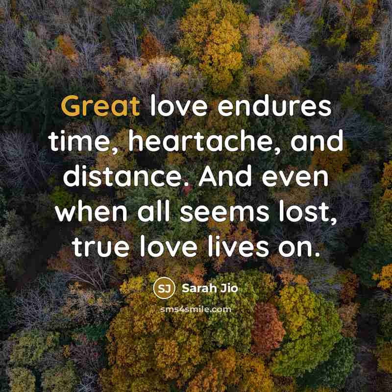 “Great love endures time, heartache, and distance. And even when…” quote by Sarah Jio